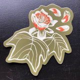 Tulip Poplar Sticker