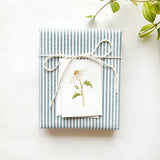 Daisy Mini Enclosure Notecard
