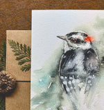 Downy Woodpecker Watercolor A7 Greeting Card
