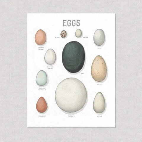 Eggs / Prints