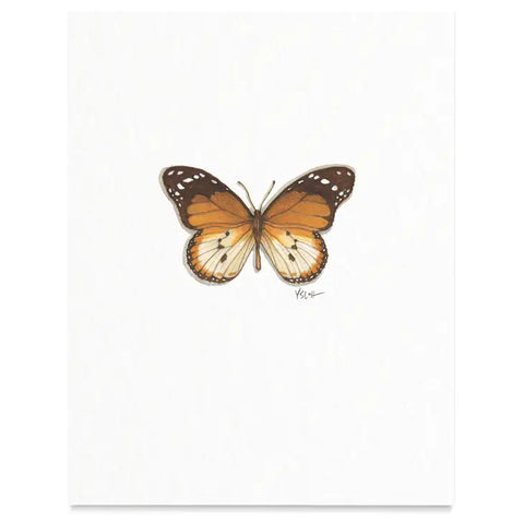 Butterflies & Moths / Prints . Tiger Butterfly
