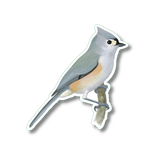 Tufted Titmouse Nature Sticker