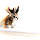Jackalope Necklace