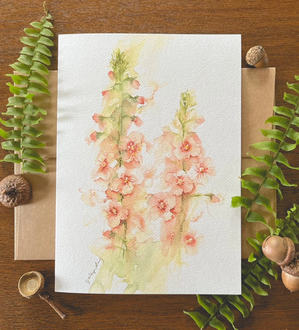 Moth Mullein Watercolor A7 Greeting Card