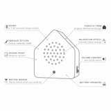 Satellitebox: Forest Brook Wood