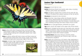 Butterflies of the Midwest Field Guide (Butterfly Identification Guides)
