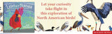 Light as a Feather: Fifteen Phenomenal North American Birds by Will Hillenbrand