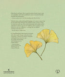 A Map Into the World by Kao Kalia Yang