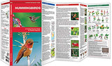 Hummingbirds: A Folding Pocket Guide to Familiar Species