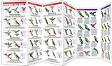 Hummingbirds: A Folding Pocket Guide to Familiar Species