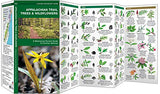 Appalachian Scenic Trail Trees & Wildflowers: A Waterproof Folding Guide to Familiar Species