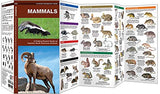 Mammals: A Folding Pocket Guide to Familiar North American Animals