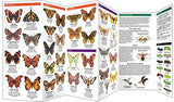 Ohio Butterflies & Pollinators: A Folding Pocket Guide To Familiar Species