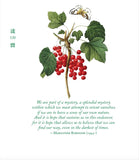 Anchor of My Soul: A Treasury of Readings on Trust and Hope