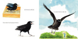 Crowbar: The Smartest Bird in the World by Jean Craighead George