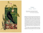 The Comfort of Crows: A Backyard Year by Margaret Renkl