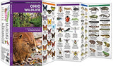 Ohio Wildlife: A Folding Guide to Familiar Animals