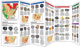 Geology: A Folding Pocket Guide to Familiar Rocks, Minerals, Gemstones & Fossils