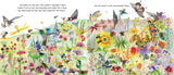 Flower Talk: How Plants Use Color to Communicate by Sara Levine, Masha D'Yans