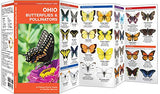 Ohio Butterflies & Pollinators: A Folding Pocket Guide To Familiar Species