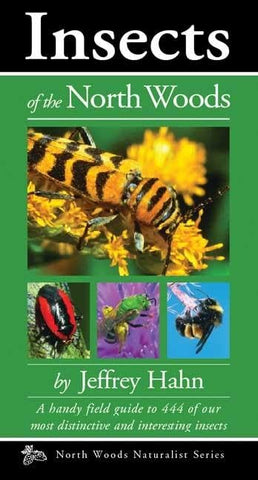 Insects of the North Woods (Naturalist) by Jeffrey Hahn