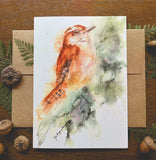Carolina Wren A7 Watercolor Greeting Card