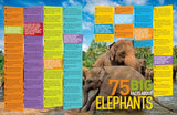 National Geographic 5,000 Awesome Facts (about Everything!) 3