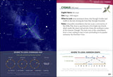 Night Sky: A Field Guide to the Constellations [With Card Flashlight]