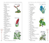 The Language and Sentiment of Flowers by James McCabe