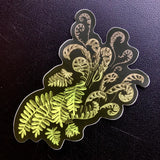 Resurrection Fern Sticker