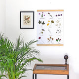 The Little Book of Flower Pressing: All the Basics Plus 11 Projects to Inspire You by Laëtitia Lazerges