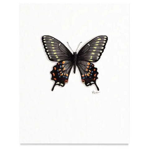Butterflies & Moths / Prints . Kahli Butterfly