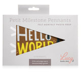 Little Camper Petit Milestone Pennant
