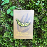 Polyphemus Caterpillar Enamel Pin