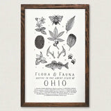 Ohio Field Guide Letterpress Chart