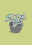 How to Train Your Cactus: A Guide to Raising Well-Behaved Succulents