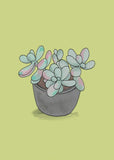 How to Train Your Cactus: A Guide to Raising Well-Behaved Succulents