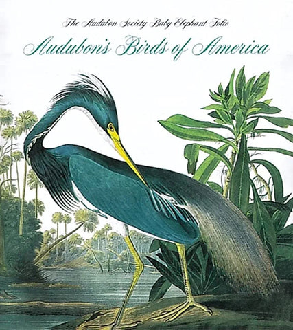 Audubon's Birds of America: the National Audubon Society Baby (Tiny Folio)