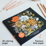 Still Life: A Fall Coloring Book for Cozy Days by Alli Koch