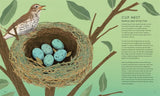 The Secret World of Bird Nests (Secret World #2) by Lucy Menzies
