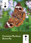Pollinators of North America Deck: 52 Playing Cards