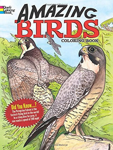 Amazing Birds Coloring Book by Ruth Soffer
