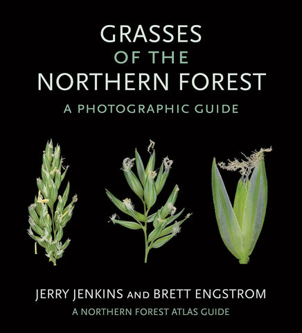 Grasses of the Northern Forest: A Photographic Guide (Northern Forest Atlas Guides) by Jerry Jenkins