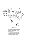 Dictionary of Fine Distinctions: Nuances, Niceties, and Subtle Shades of Meaning by Eli Burnstein