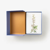 New York Botanical Garden Wildflower Identification Flashcards: 100 Common Wildflowers of North America (New York Botanical Garden)
