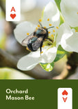 Pollinators of North America Deck: 52 Playing Cards