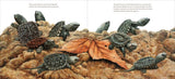 The True and Lucky Life of a Turtle by Sy Montgomery