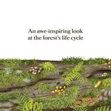 When a Tree Falls: Nurse Logs and Their Incredible Forest Power by Kristen Pendreigh