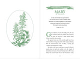 Three Wise Women: 40 Devotions Celebrating Advent with Mary, Elizabeth, and Anna by Dandi Daley Mackall