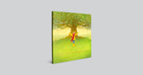 Pippa and the Singing Tree: Joining the Song of All Creation by Kristyn Getty